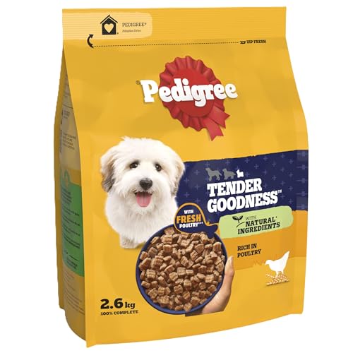 PEDIGREE Tender Goodness Dog Dry Food for Small Dogs with Chicken, 2.6 kg (Pack of 1)