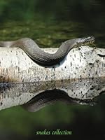 Coffee Table Books: snakes collection (Coffee Table Books: Collections) B0CVLM8L8M Book Cover