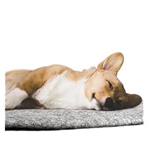   CREATURE-ECO-Handmade-Wool-Dog-Bed-Dog-Beds-for-Large-Dogs-Pet-Lounger-for-All-Breeds-Washable-Dog-Crate-Mate-with-Attractive-Design-Ultra-Soft-Wool-Material-Natural-Grey