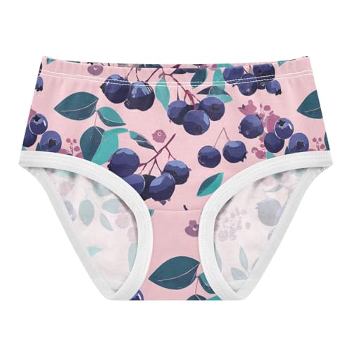 Wusikd Blueberries Girls' Underwear Cotton Girls Briefs Soft Toddler Underwear 2T