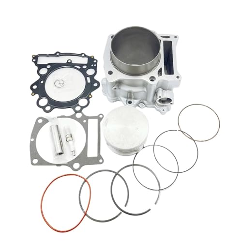 Cilindro de gran diámetro 102mm que eleva la compresión a 686cc en modelos 660R 2