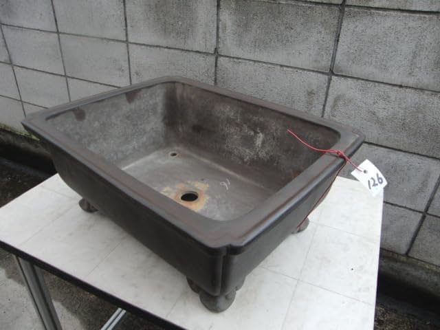 鉢 太山 48.5cm 盆器 盆栽 植木