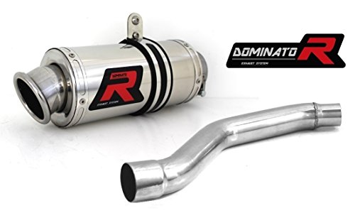Dominator Exhaust silenciador de Escape GP I Suzuki XF 650 Freewind 97-01...