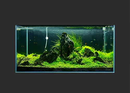 Image of Landen 100P 50 Gallon Rimless Low Iron Aquarium Tank, W39.4xD17.7xH17.7 in(100x45x45cm) 10mm Thickness with Black Nano Foam Leveling mat Included