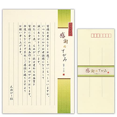 エヌビー社 伝えるきもち B5 便箋 縦罫 便箋・封筒セット | 【便箋】2色アソート 30枚 b5 相当 縦書き【封筒】6枚 長形4号封筒