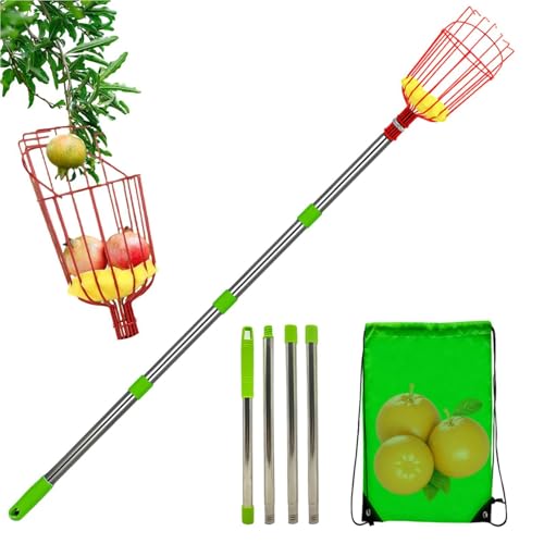 Panier De Cueillette De Fruits, Cueilleur Télescopique en Acier Inoxydable avec Panier, Panier De Cueillette Léger Et Portable Amovible pour Prune, Orange, Citron, Pamplemousse, Pêche, Poire