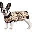 B-Brown Leopard