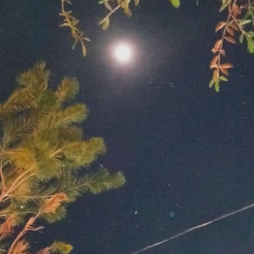 『Quiz&aacute; ma&ntilde;ana2』のカバーアート