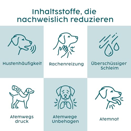 Zanipro Hustensaft Hund & Katze – Kennel Husten (Zwingerhusten) Behandlung, Erkältung & Schnupfen, Atemwege Unterstützung, Nasentropfen & Hustentropfen für Hunde und Katzen -Tinktur, 50 ml