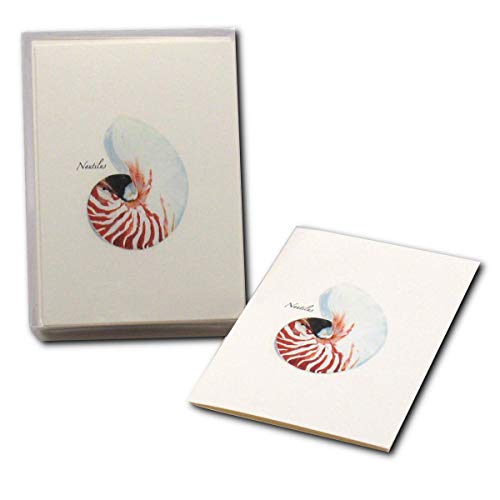 Image of Earth Sky + Water - Nautilus Notecard Set - 8 Blank Cards with Envelopes