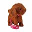 Brown Teddy (Battery Type)