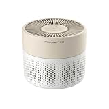 Rowenta Pure Air Mini, Filtro HEPA PU1521