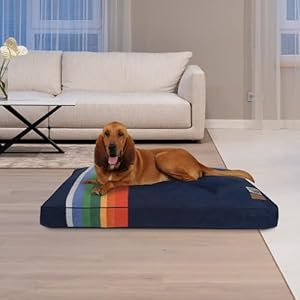 Pendletonnationalparknapperdogbedcraterlakexl Urban Country Home Decor Pendleton national park napper dog bed crater lake xl urban country home decor