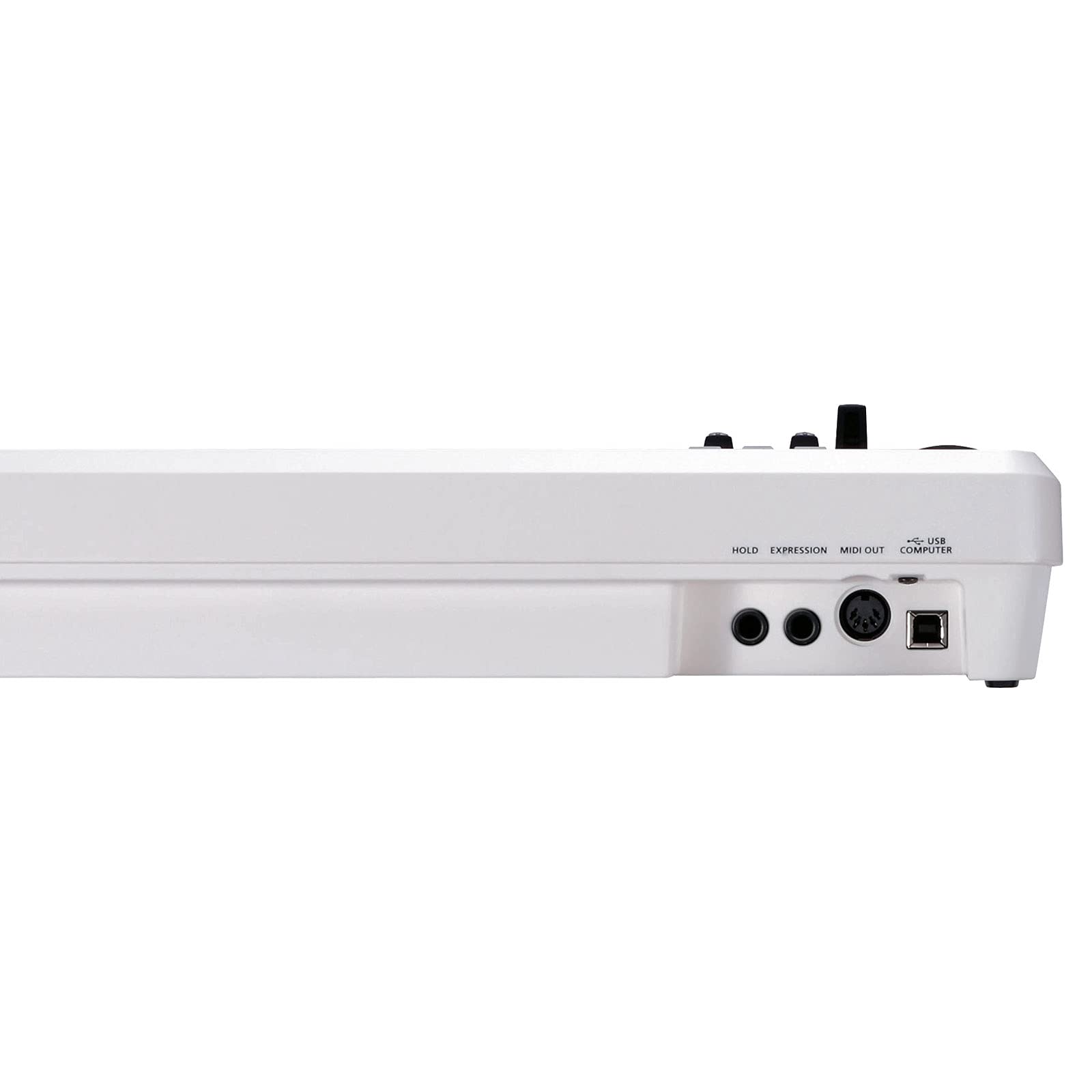 Roland Tastiera MIDI A49 bianco + cavo Keepdrum MIDI 2 m