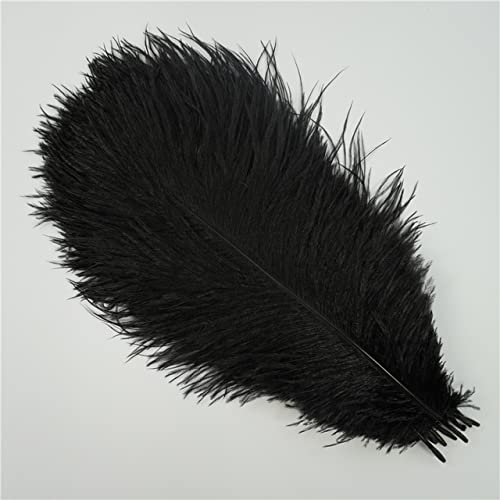 RAEF Plumes d'autruche colorées 10 pièces/lot, pour Artisanat, décoration de Mariage, Accessoires artisanaux, centres de Table, décor de Plumas de Carnaval
