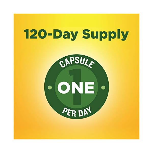 Nature Made Turmeric Curcumin 500 mg, Herbal Supplement for Antioxidant Support, 120 Capsules, 120 Day Supply