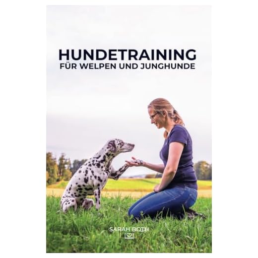 Hundetraining für Welpen und Junghunde
