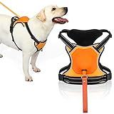 Mittelgroßes Hundegeschirr: Halsumfang: 41–57 cm, Brustumfang: 55–67 cm. Sehen Sie sich die Größentabelle an und wählen Sie die nächstgrößere Größe, wenn Ihr Hund nahe an der maximalen Brustgröße liegt. Verfügt über 4 verstellbare Punkte und eignet sich daher perfekt für heranwachsende Hunde und Mischlinge. Sie müssen sich keine Sorgen machen, dass Sie herausrutschen und ersticken.