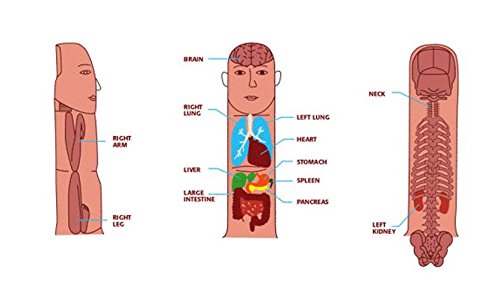Acs Mat Sujok Hand Acupuncture Needle Injector (Spring Inserter) - Built-In Magnet + Free 5 Sujok Rings #TOP4