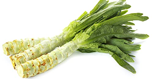 Seeds Asparagus Lettuce Celtuce Heirloom Vegetable For Planting Non Gmo 1000 Seeds #TOP2
