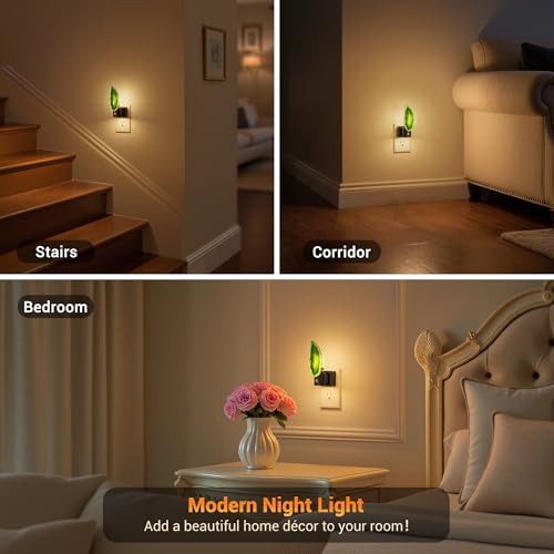 Image of JandCase Night Lights Plug into Wall, 2 Pack Agate Night Light | Dimmable Night Light Aesthetic Crystal, Dusk to Dawn Sensor,Healing Stone Agate Decorative Nightlight Home Living Room
