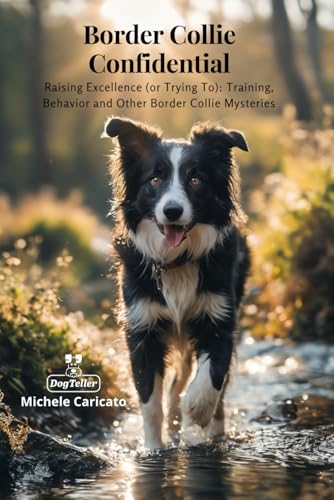  Border Collie Confidential: Raising Excellence (or Trying To): Training, Behavior and Other Border Collie Mysteries