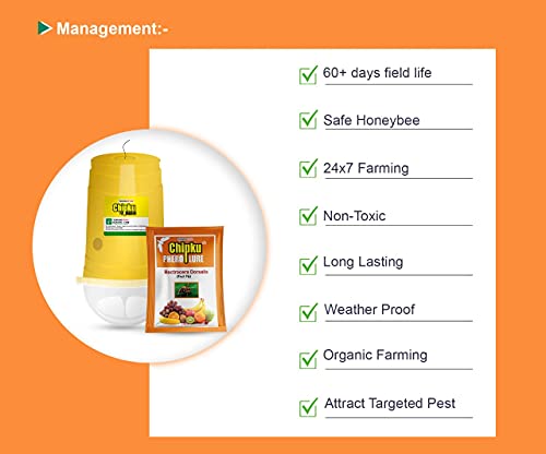 Chipku Fly Magnet Trap Useful in Mango, Papaya, Sapota, Guava, Pomegranate, Sweet Fruit (50 Trap with 50 Fruit Fly Lure) - Pack of 50