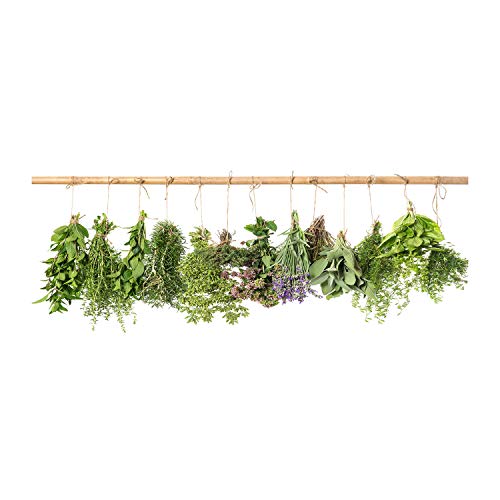 Crédence de cuisine 125x50cm en verre trempé Tulup avec motif d'herbes vertes