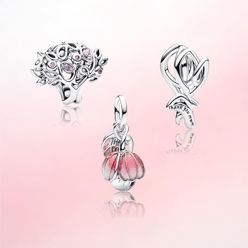 Image of Mom Family Charms Bead for Bracelets and Necklaces Jewelry Charm for Women Valentine Mother's Day