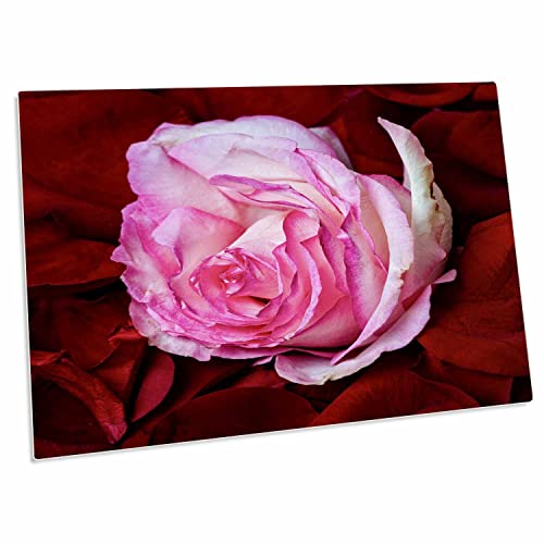 3dRose Desk Pad con diseño de rosa rosa 23 x 16 pulgadas