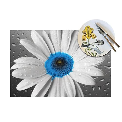 Sets de table antidérapants lavables contre taches et brûlures