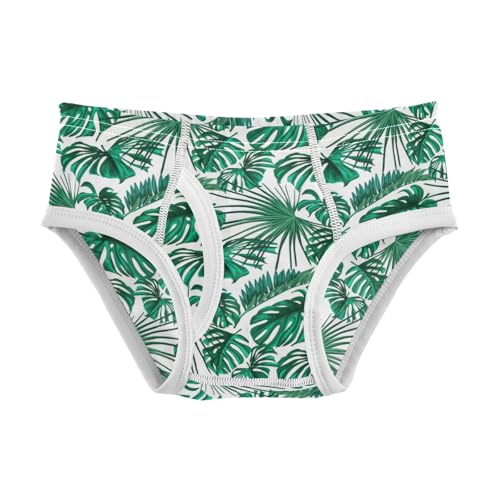 Boys' Exclusive Briefs Toddler Underwear 95% Combed Cotton Boxerbriefs 2T Tropical Leaf Pattern 82