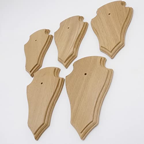 Generisch 5 carteles de trofeos REH en punta de roble claro pequeño AF 19 cm x 11 cm