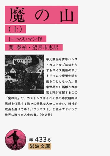 魔の山 上 (岩波文庫 赤 433-6)