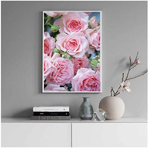 Affiche rose et pivoine 50x70cm sans cadre | Toile de décoration murale fleurie