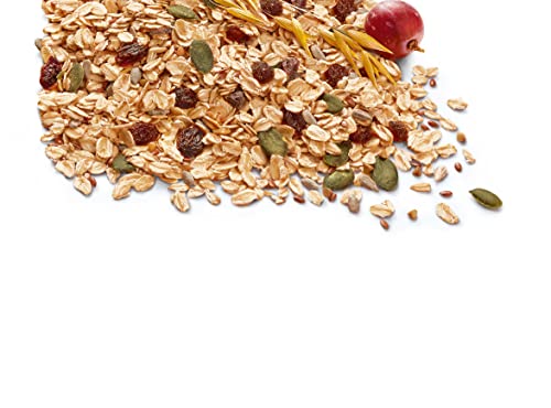 BJORG - Flocons d'Avoine Bio 4 Graines et Raisin - Céréales Complètes - Sans Sucres Ajoutés - 375 g (Lot de 2)