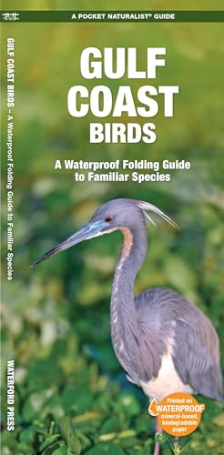 Gulf Coast Birds, 2nd Ed (Nature Observation North America)