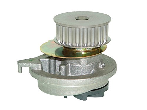 Saleri SIL PA512P Wasserpumpe