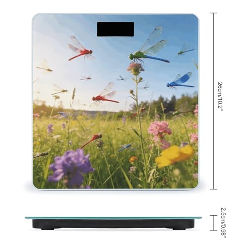 Báscula digital de baño Dragonfly Meadow con sensores de alta precisión miniatura 2