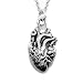 Sterling Silver Anatomical 3D Heart Charm Necklace, 18"
