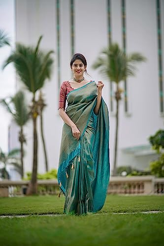 C-J-Enterprise-Womens-Soft-Kanjivaram-Silk-Saree-for-Wedding-Banarasi-Style-With-Blouse-Piece-AJ06-paithani