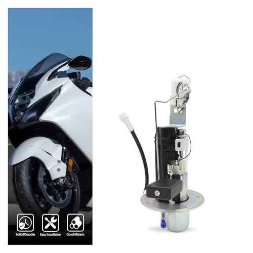 Bomba Combustible Suzuki Hayabusa Solución a Tirones y Pérdida de Potencia 6