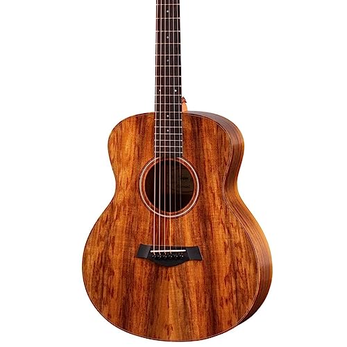 Taylor/GS Mini-e KOA ES-B �e�C���[
