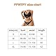 FFWTPY Dessous Damen Sexy Unterwäsche Lingerie Spitze Bralette Set Transparent Mesh Top Netzoberteil Reizwäsche Netzshirt Fishnet Dessoussets Strappy Harness