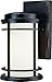 Dolan Designs 9103-68 1Lt Winchester La Mirage 1 Wall Light, Bronze/Dark