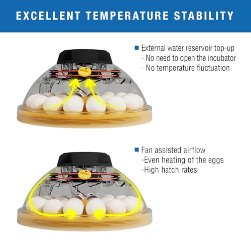 Brinsea Maxi 24 EX Egg Incubator with Automatic Humidity Control and Egg Turning for Hatching 24 Chicken, Duck, or Other Eggs, Optimal Flexibility with Mix & Match Sizes