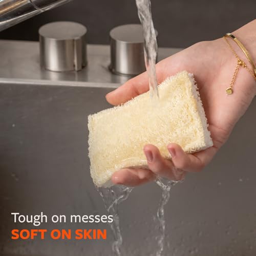 Image of Full Circle 100% Plant-Based Loofah Sponges - Pack of 2 - Plastic-Free, Natural Sponge, No Microplastics, Safe for Nonstick Cookware