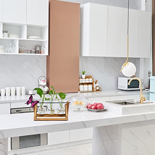 Plant Propagation Station Terrarium,air Plants ，Water Plants Propogation Planters Glass,Plant Terrarium with Wooden Stand,Garden Lovers Gift Ideas，for Office Decor