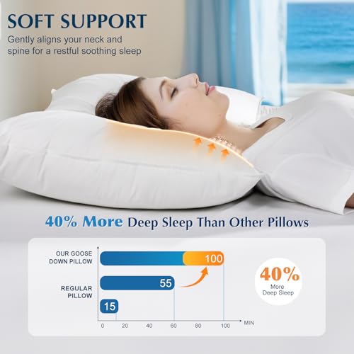 Luxury Goose Feather Down Pillows Queen Size Set of 2, 3-Chamber 5 Star Hotel Pillow for Deep Sleep, Soft Bed Pillows for Neck Pain Relief, Perfect for Side, Back Sleepers - 20"x30"