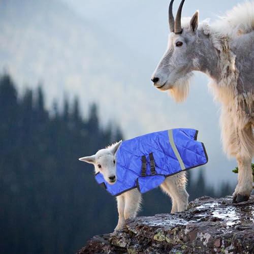 Manta para terneros ajustable e impermeable: abrigo de invierno para cabras 7